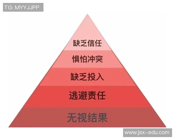 深圳排球队的团队协作之道：如何在赛场上实现默契与信任